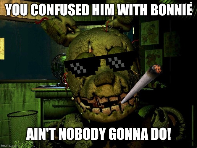Mlg Springtrap | YOU CONFUSED HIM WITH BONNIE AIN'T NOBODY GONNA DO! | image tagged in mlg springtrap | made w/ Imgflip meme maker