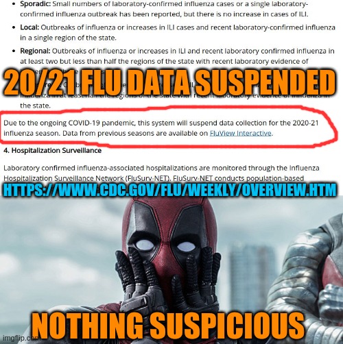 Bait n Switch | 20/21 FLU DATA SUSPENDED; HTTPS://WWW.CDC.GOV/FLU/WEEKLY/OVERVIEW.HTM; NOTHING SUSPICIOUS | image tagged in deadpool,funny,funny memes | made w/ Imgflip meme maker
