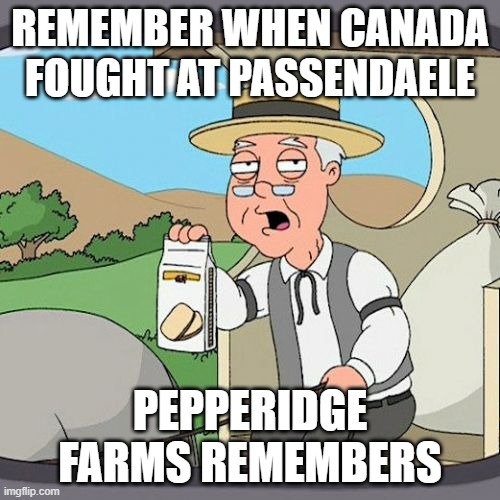when you nerd out about ww1 | REMEMBER WHEN CANADA FOUGHT AT PASSENDAELE; PEPPERIDGE FARMS REMEMBERS | image tagged in memes,pepperidge farm remembers,world war 1 | made w/ Imgflip meme maker
