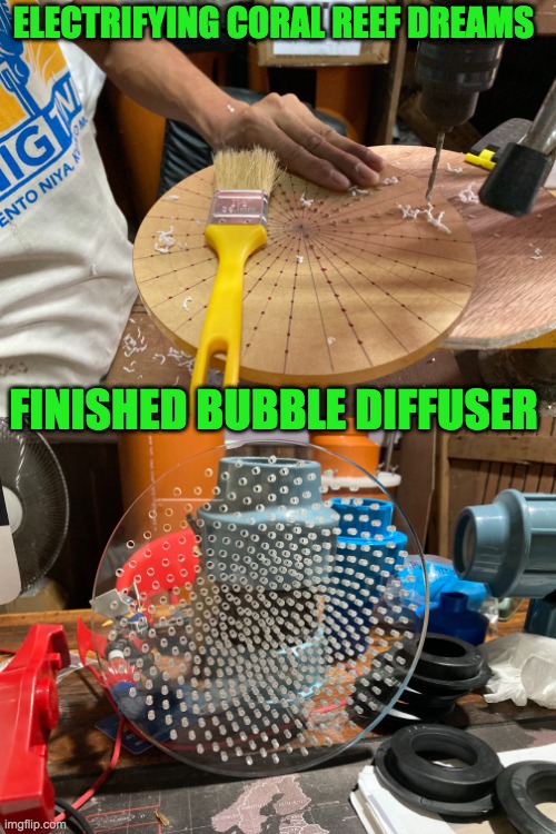 ELECTRIFYING CORAL REEF DREAMS; FINISHED BUBBLE DIFFUSER | image tagged in aquarium | made w/ Imgflip meme maker