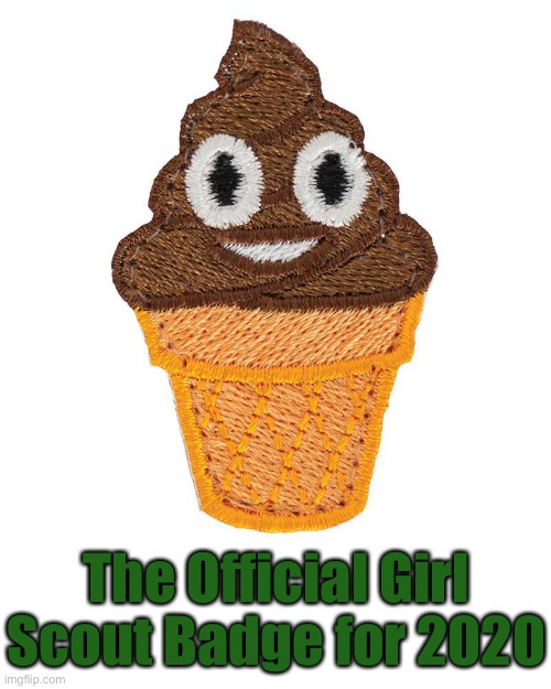 2020 Sucks | The Official Girl Scout Badge for 2020 | image tagged in funny memes,girls scout badge,poop,on a cone | made w/ Imgflip meme maker