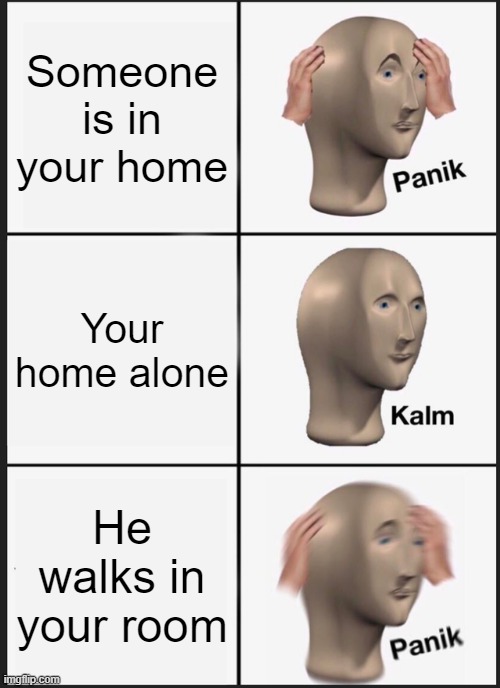 When u think ur home alone | Someone is in your home; Your home alone; He walks in your room | image tagged in memes,panik kalm panik | made w/ Imgflip meme maker