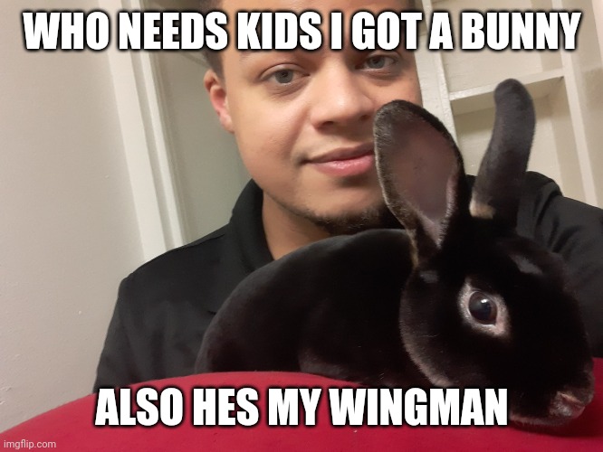 Wingman | WHO NEEDS KIDS I GOT A BUNNY; ALSO HES MY WINGMAN | image tagged in children,wingman | made w/ Imgflip meme maker