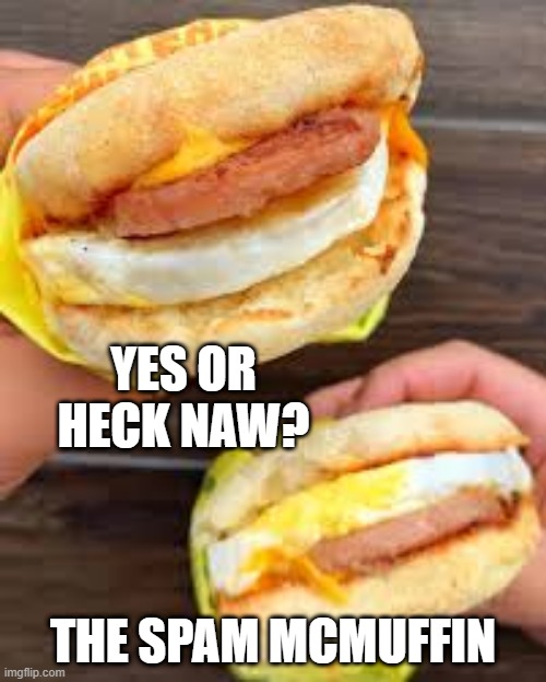 McMuffin | YES OR HECK NAW? THE SPAM MCMUFFIN | image tagged in idk | made w/ Imgflip meme maker