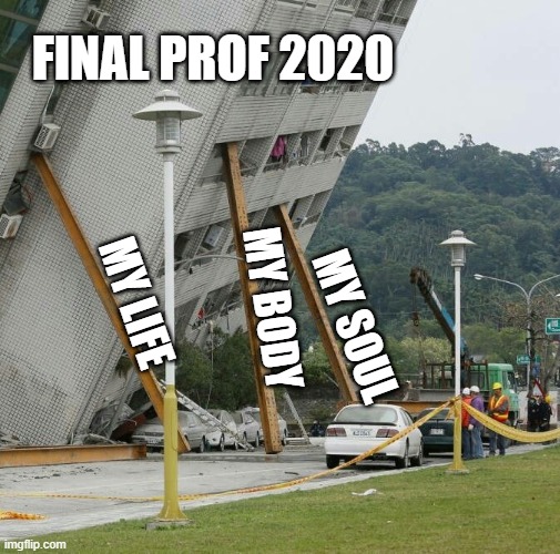 Professional exam | FINAL PROF 2020; MY BODY; MY LIFE; MY SOUL | image tagged in falling building held up with sticks | made w/ Imgflip meme maker