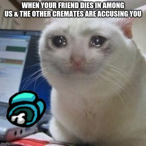 among us | WHEN YOUR FRIEND DIES IN AMONG US & THE OTHER CREMATES ARE ACCUSING YOU | image tagged in crying cat | made w/ Imgflip meme maker
