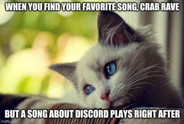 First World Problems Cat Meme | WHEN YOU FIND YOUR FAVORITE SONG, CRAB RAVE BUT A SONG ABOUT DISCORD PLAYS RIGHT AFTER | image tagged in memes,first world problems cat | made w/ Imgflip meme maker