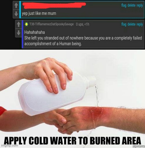 Hahahahaha | image tagged in apply cold water to burned area,memes,roasts,roasted,roast,meme | made w/ Imgflip meme maker