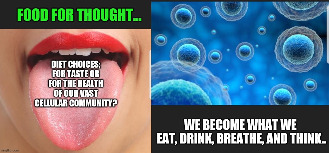 Diet choices - for taste or for health | FOOD FOR THOUGHT... DIET CHOICES;
FOR TASTE OR
FOR THE HEALTH OF OUR VAST CELLULAR COMMUNITY? WE BECOME WHAT WE 
EAT, DRINK, BREATHE, AND THINK.. | image tagged in diet choices,taste vs health,tongue only vs all cells | made w/ Imgflip meme maker