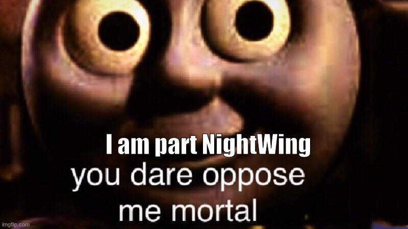 You dare oppose me mortal | I am part NightWing | image tagged in you dare oppose me mortal | made w/ Imgflip meme maker