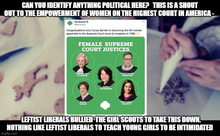 Leftist liberals teaching young girls to be intimidated | CAN YOU IDENTIFY ANYTHING POLITICAL HERE?   THIS IS A SHOUT OUT TO THE EMPOWERMENT OF WOMEN ON THE HIGHEST COURT IN AMERICA -; LEFTIST LIBERALS BULLIED  THE GIRL SCOUTS TO TAKE THIS DOWN.  NOTHING LIKE LEFTIST LIBERALS TO TEACH YOUNG GIRLS TO BE INTIMIDATED | image tagged in girl scouts,stupid liberals,maga,2020,sad | made w/ Imgflip meme maker