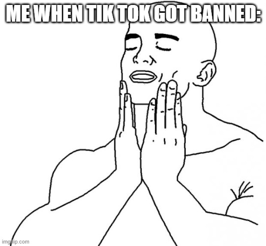 Feels Good Man | ME WHEN TIK TOK GOT BANNED: | image tagged in feels good man | made w/ Imgflip meme maker