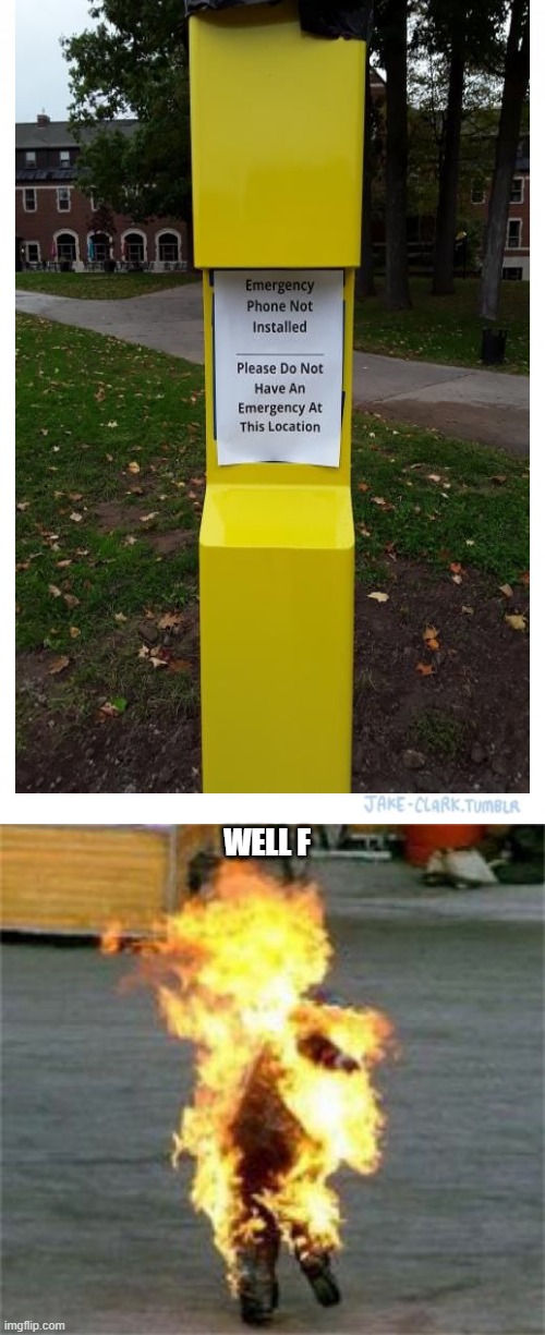 WELL F | image tagged in memes,two buttons | made w/ Imgflip meme maker