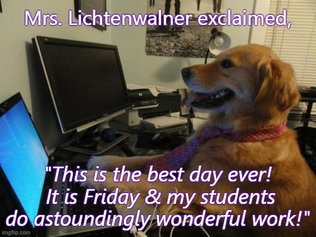 Dog behind a computer | Mrs. Lichtenwalner exclaimed, "This is the best day ever!  It is Friday & my students do astoundingly wonderful work!" | image tagged in dog behind a computer | made w/ Imgflip meme maker