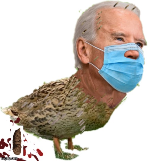 Biden Working On New Gas Emissions | image tagged in joe bidenduck trans,poopie,cacapoopoo | made w/ Imgflip meme maker