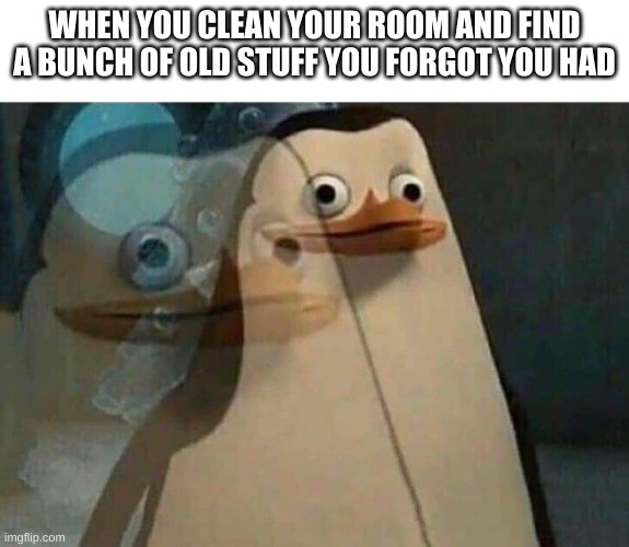 The penguins of Madagascar | WHEN YOU CLEAN YOUR ROOM AND FIND A BUNCH OF OLD STUFF YOU FORGOT YOU HAD | image tagged in the penguins of madagascar | made w/ Imgflip meme maker