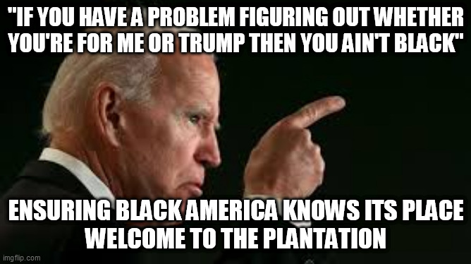 racist biden | "IF YOU HAVE A PROBLEM FIGURING OUT WHETHER YOU'RE FOR ME OR TRUMP THEN YOU AIN'T BLACK"; ENSURING BLACK AMERICA KNOWS ITS PLACE
WELCOME TO THE PLANTATION | image tagged in racist biden,biden quote,black america,loathsome joe,biden and race | made w/ Imgflip meme maker