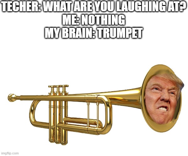 Donald Trumpet | TECHER: WHAT ARE YOU LAUGHING AT?
ME: NOTHING
MY BRAIN: TRUMPET | image tagged in donald trumpet | made w/ Imgflip meme maker