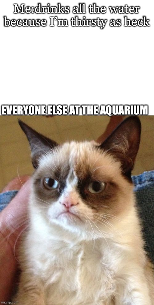 Water meme | Me:drinks all the water because I’m thirsty as heck; EVERYONE ELSE AT THE AQUARIUM | image tagged in memes,grumpy cat,blank white template | made w/ Imgflip meme maker