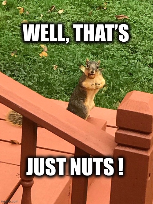 That's Nuts | WELL, THAT’S JUST NUTS ! | image tagged in that's nuts | made w/ Imgflip meme maker
