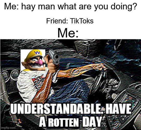 Have a rotten day TIKTOKER!!*hey | Me: hay man what are you doing? Friend: TikToks; Me:; ROTTEN | image tagged in understandable have a great day | made w/ Imgflip meme maker