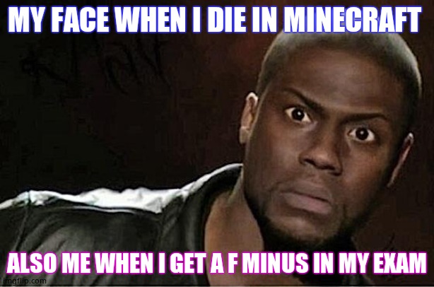 Kevin Hart | MY FACE WHEN I DIE IN MINECRAFT; ALSO ME WHEN I GET A F MINUS IN MY EXAM | image tagged in memes,kevin hart | made w/ Imgflip meme maker