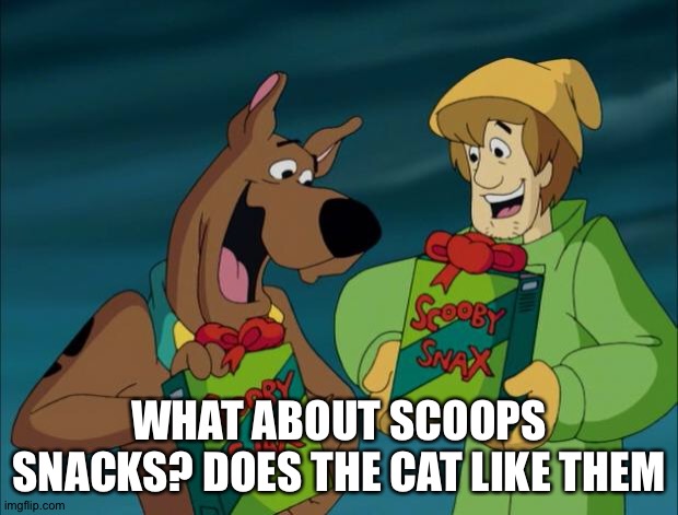 Scooby Snacks | WHAT ABOUT SCOOPS SNACKS? DOES THE CAT LIKE THEM | image tagged in scooby snacks | made w/ Imgflip meme maker