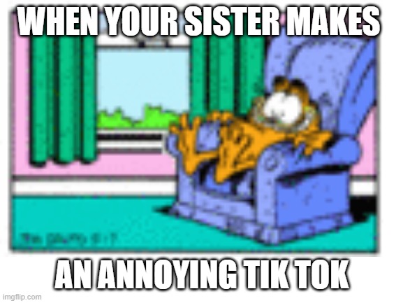 Has this ever happened to you? | WHEN YOUR SISTER MAKES; AN ANNOYING TIK TOK | image tagged in garfield | made w/ Imgflip meme maker