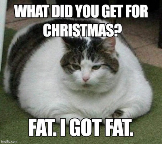 Fat. I got fat. | image tagged in memes | made w/ Imgflip meme maker