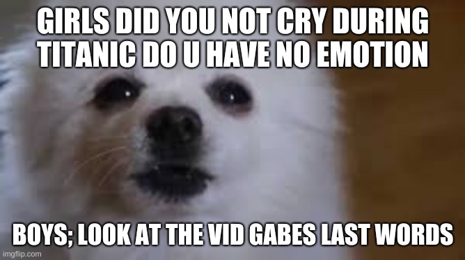 Gabe the dog | GIRLS DID YOU NOT CRY DURING TITANIC DO U HAVE NO EMOTION; BOYS; LOOK AT THE VID GABES LAST WORDS | image tagged in gabe the dog | made w/ Imgflip meme maker