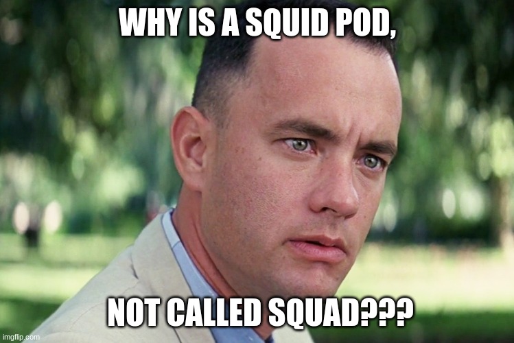 Why? | WHY IS A SQUID POD, NOT CALLED SQUAD??? | image tagged in memes,and just like that,tom hanks,squids,why | made w/ Imgflip meme maker