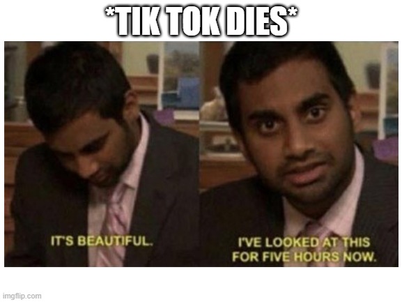 It is beautiful | *TIK TOK DIES* | image tagged in this is beautiful | made w/ Imgflip meme maker