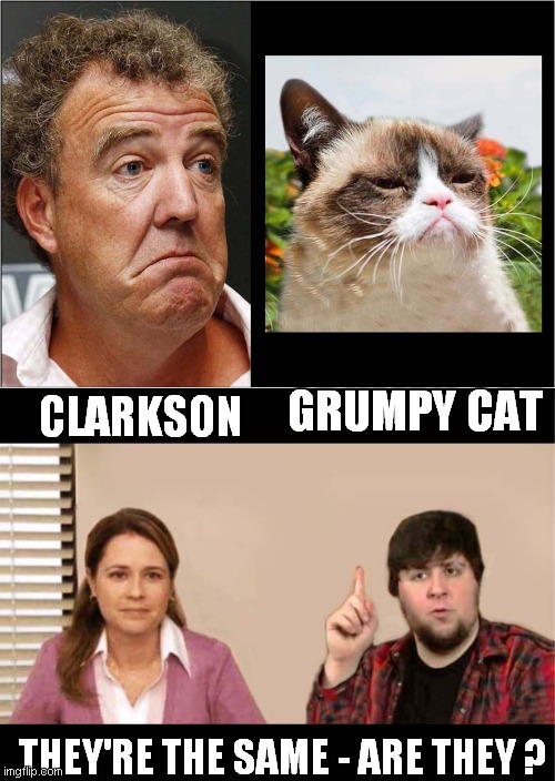 Jeremy Clarkson & Grumpy Cat | GRUMPY CAT; CLARKSON; THEY'RE THE SAME - ARE THEY ? | image tagged in jeremy clarkson,grumpy cat,they're the same picture,i have several questions,frontpage | made w/ Imgflip meme maker
