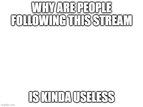 Blank White Template | WHY ARE PEOPLE FOLLOWING THIS STREAM; IS KINDA USELESS | image tagged in blank white template | made w/ Imgflip meme maker