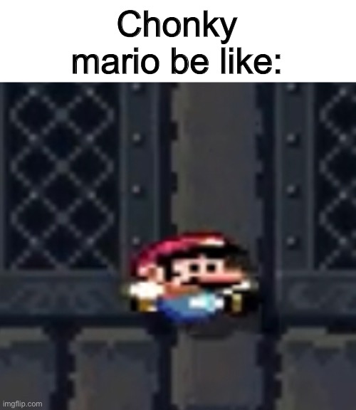 Chonky mario | Chonky mario be like: | image tagged in mario | made w/ Imgflip meme maker