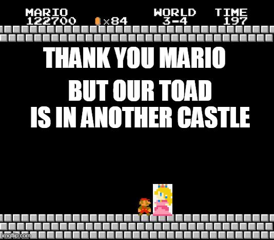 Lol | THANK YOU MARIO; BUT OUR TOAD IS IN ANOTHER CASTLE | image tagged in thank you mario | made w/ Imgflip meme maker