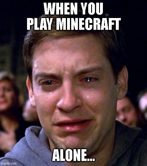 *crying alone* | WHEN YOU PLAY MINECRAFT; ALONE... | image tagged in crying peter parker | made w/ Imgflip meme maker