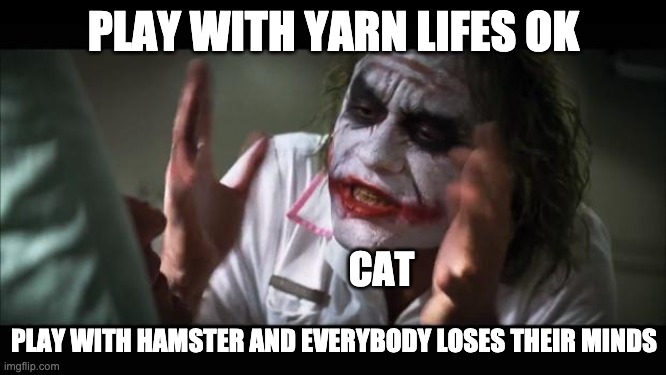And everybody loses their minds | PLAY WITH YARN LIFES OK; CAT; PLAY WITH HAMSTER AND EVERYBODY LOSES THEIR MINDS | image tagged in memes,and everybody loses their minds | made w/ Imgflip meme maker