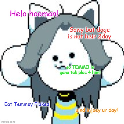 WHAT DID YOU DO WITH DOGE!!??!?! | Helo hooman! Sowy but doge is nut heir 2day; so TEMMI! is gana tak plac 4 him! Eat Temmey Flakez; aind injoey ur day! | image tagged in temmie | made w/ Imgflip meme maker