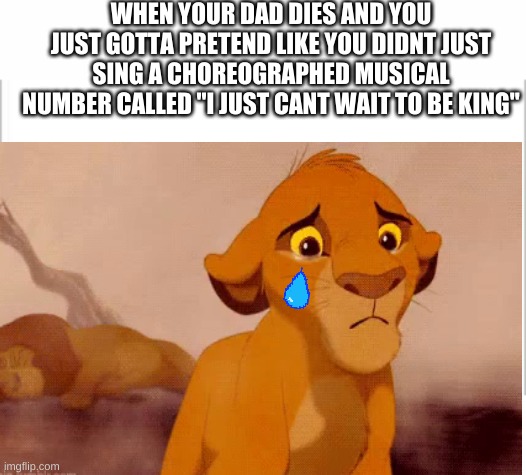 WHEN YOUR DAD DIES AND YOU JUST GOTTA PRETEND LIKE YOU DIDNT JUST SING A CHOREOGRAPHED MUSICAL NUMBER CALLED "I JUST CANT WAIT TO BE KING" | image tagged in white background | made w/ Imgflip meme maker