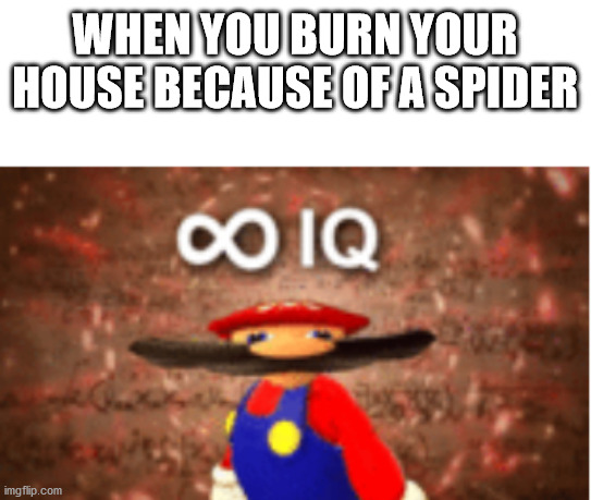 yes | WHEN YOU BURN YOUR HOUSE BECAUSE OF A SPIDER | image tagged in infinite iq | made w/ Imgflip meme maker