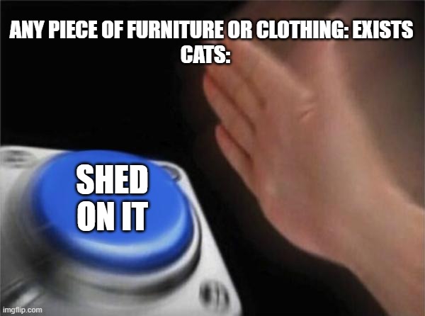 Blank Nut Button Meme | ANY PIECE OF FURNITURE OR CLOTHING: EXISTS
CATS:; SHED ON IT | image tagged in memes,blank nut button | made w/ Imgflip meme maker