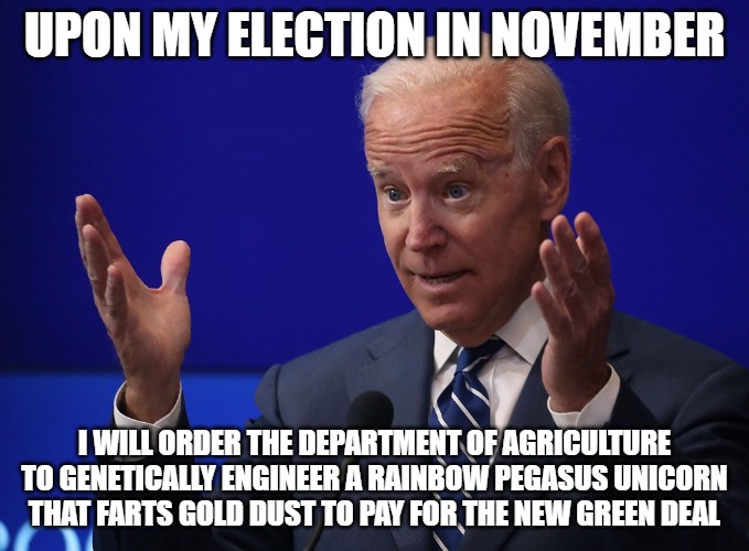 Joe Biden - Hands Up | UPON MY ELECTION IN NOVEMBER; I WILL ORDER THE DEPARTMENT OF AGRICULTURE TO GENETICALLY ENGINEER A RAINBOW PEGASUS UNICORN THAT FARTS GOLD DUST TO PAY FOR THE NEW GREEN DEAL | image tagged in joe biden - hands up | made w/ Imgflip meme maker