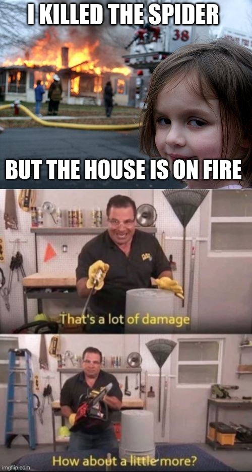that a lot of damage | I KILLED THE SPIDER; BUT THE HOUSE IS ON FIRE | image tagged in memes,disaster girl,now that's a lot of damage | made w/ Imgflip meme maker