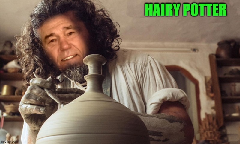 HAIRY POTTER | HAIRY POTTER | image tagged in hairy potter,kewlew | made w/ Imgflip meme maker