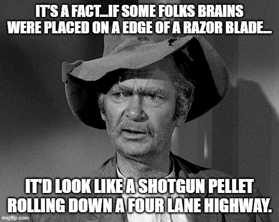brains | IT'S A FACT...IF SOME FOLKS BRAINS WERE PLACED ON A EDGE OF A RAZOR BLADE... IT'D LOOK LIKE A SHOTGUN PELLET ROLLING DOWN A FOUR LANE HIGHWAY. | image tagged in jed clampett | made w/ Imgflip meme maker