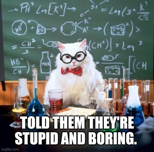 Chemistry Cat Meme | TOLD THEM THEY'RE STUPID AND BORING. | image tagged in memes,chemistry cat | made w/ Imgflip meme maker