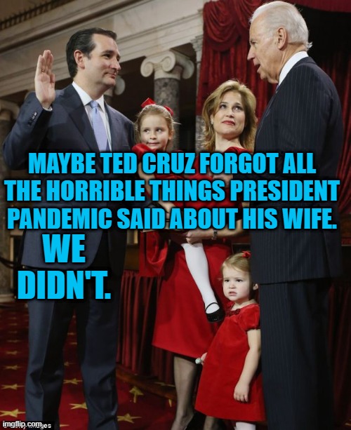 America Values Women. | MAYBE TED CRUZ FORGOT ALL THE HORRIBLE THINGS PRESIDENT PANDEMIC SAID ABOUT HIS WIFE. WE DIDN'T. | image tagged in politics | made w/ Imgflip meme maker