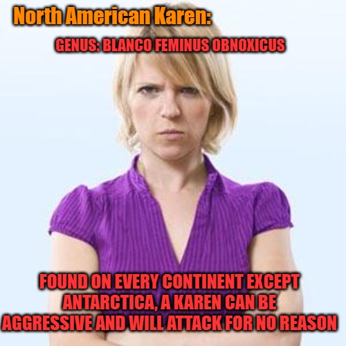 Angry woman | North American Karen:; GENUS: BLANCO FEMINUS OBNOXICUS; FOUND ON EVERY CONTINENT EXCEPT ANTARCTICA, A KAREN CAN BE AGGRESSIVE AND WILL ATTACK FOR NO REASON | image tagged in angry woman | made w/ Imgflip meme maker
