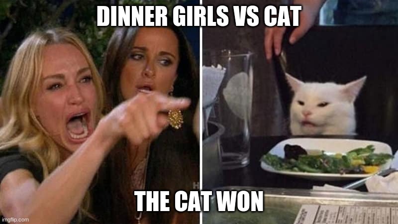 bad dinner | DINNER GIRLS VS CAT; THE CAT WON | image tagged in girls vs cat | made w/ Imgflip meme maker